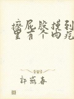 擦屁股摸到肛门里有个肉疙瘩是什么