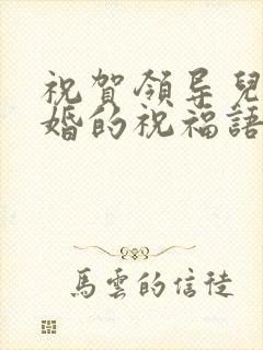 祝贺领导儿子结婚的祝福语简短