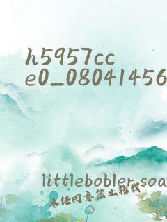h5957cce0_0804145607.apk.1.1