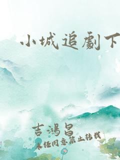 小城追剧下载 小城追剧下载