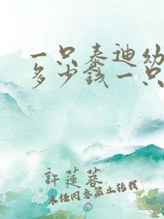 一只泰迪幼犬要多少钱一只