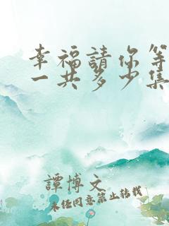 幸福请你等等我一共多少集
