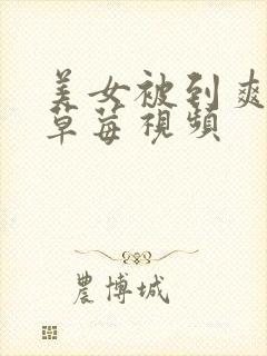 美女被到爽高潮草莓视频