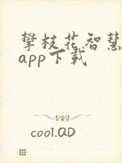 攀枝花智慧人社app下载
