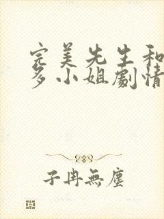 完美先生和差不多小姐剧情介绍