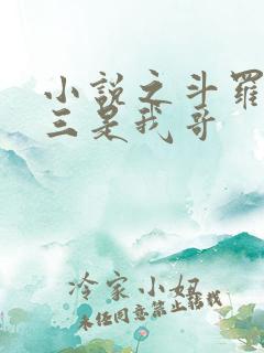 小说之斗罗:唐三是我哥 小说之斗罗:唐三是我哥