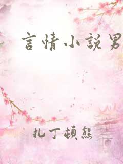 言情小说男男h