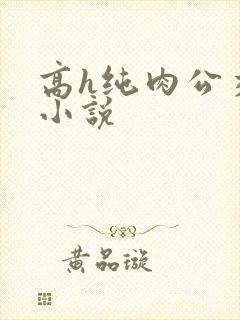 高h纯肉公交车小说