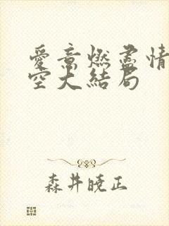 爱意燃尽情深成空大结局