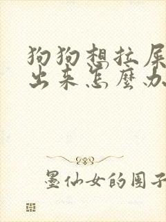 狗狗想拉屎拉不出来怎么办