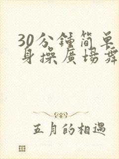 30分钟简单健身操广场舞