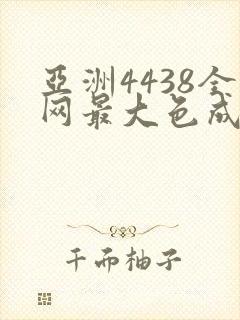 亚洲4438全网最大色成网站