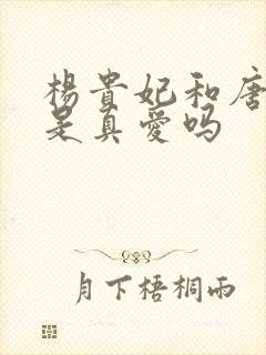 杨贵妃和唐玄宗是真爱吗