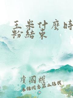 玉米什么时候授粉结束