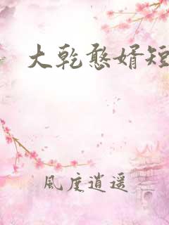 大乾憨婿短剧