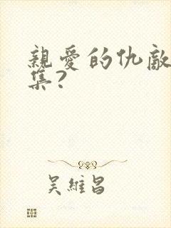 亲爱的仇敌多少集?