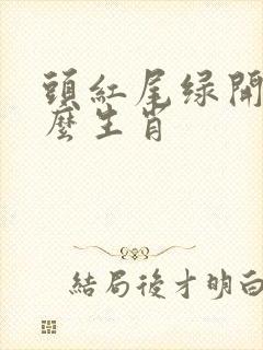 头红尾绿开过什么生肖