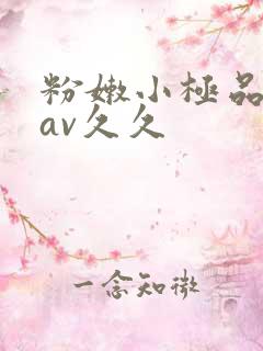 粉嫩小极品美女av久久