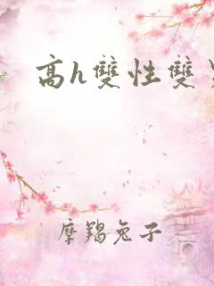 高h双性双男