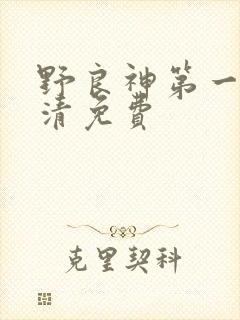 野良神第一季超清免费