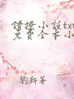 错撩小说txt免费全本小说