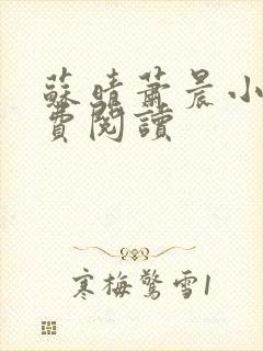 苏晴萧晨小说免费阅读