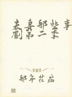 夫妻那些事电视剧第二季