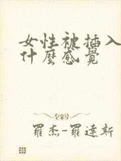 女性被插入时是什么感觉