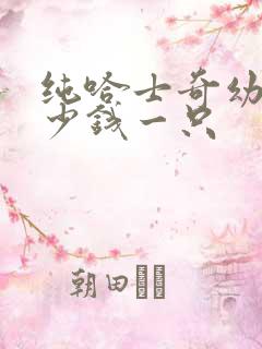 纯哈士奇幼犬多少钱一只 纯哈士奇幼犬多少钱一只