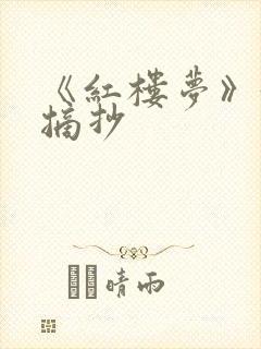 《红楼梦》好段摘抄