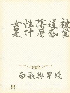 女性阴道被插入是什么感觉