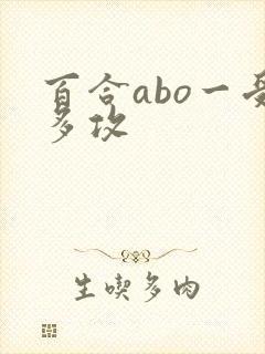 百合abo一受多攻