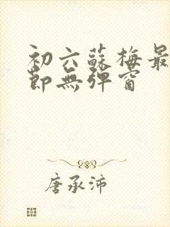 初六苏梅最新章节无弹窗