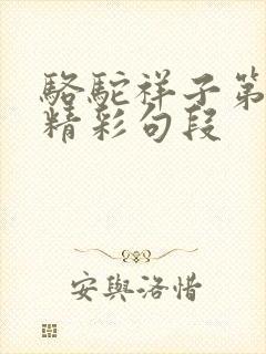 骆驼祥子第九章精彩句段