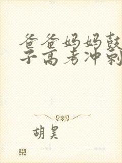 爸爸妈妈鼓励孩子高考冲刺的话