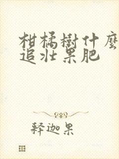 柑橘树什么时候追壮果肥