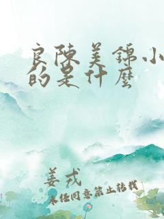 良陈美锦小说讲的是什么