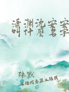 潇渊沈安安小说叫什么名字