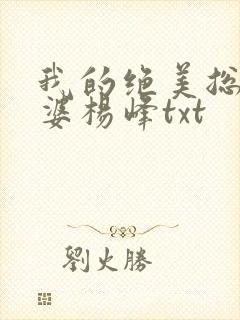 我的绝美总裁老婆杨峰txt 我的绝美总裁老婆杨峰txt