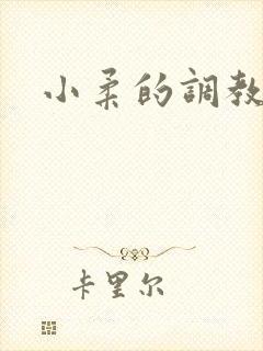 小柔的调教日记