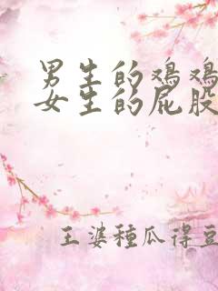 男生的鸡鸡插进女生的屁股眼里