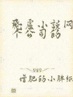 飞卢小说网是哪个公司的