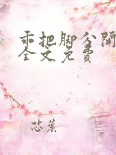 乖把脚分开by全文免费