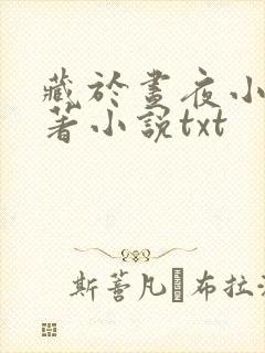 藏于昼夜小说原著小说txt