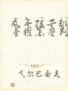 成年孩子离婚抚养权怎么判定