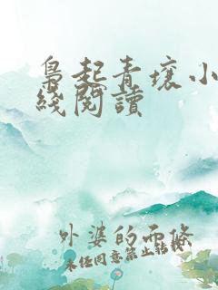 枭起青壤小说在线阅读