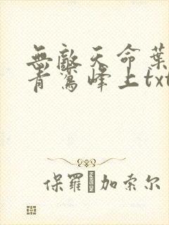 无敌天命叶天命青鸾峰上txt下载