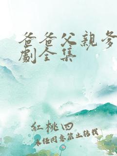 爸爸父亲爹电视剧全集