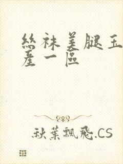 丝袜美腿玉足国产一区