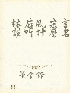 林庭风宋言汐小说叫什么名字